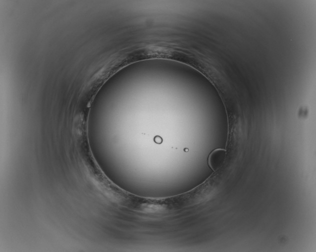 X0000115640649200911101517