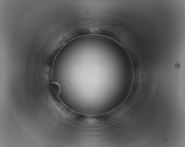 X0000115640650200911101517