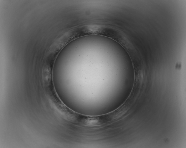 X0000115640651200911101517