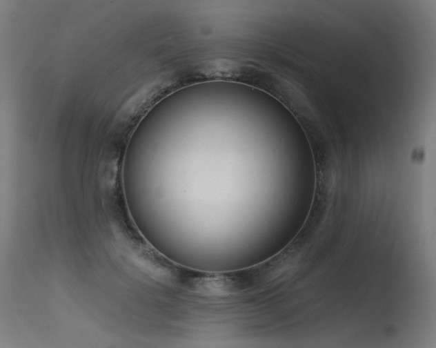X0000115640652200911101517