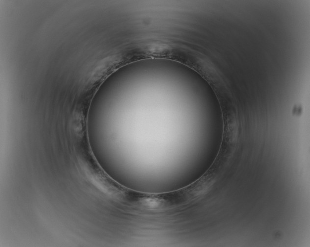X0000115640654200911101517