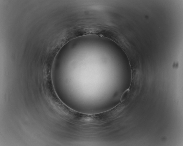 X0000115640655200911101517