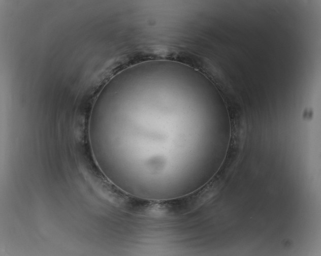X0000115640656200911101517