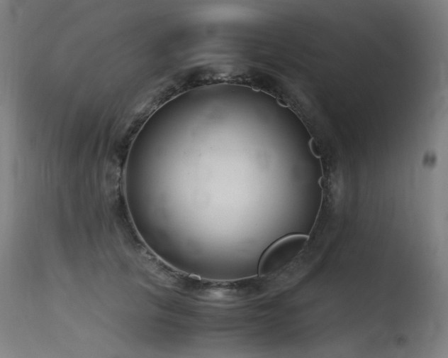 X0000115640657200911101517