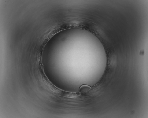 X0000115640661200911101517