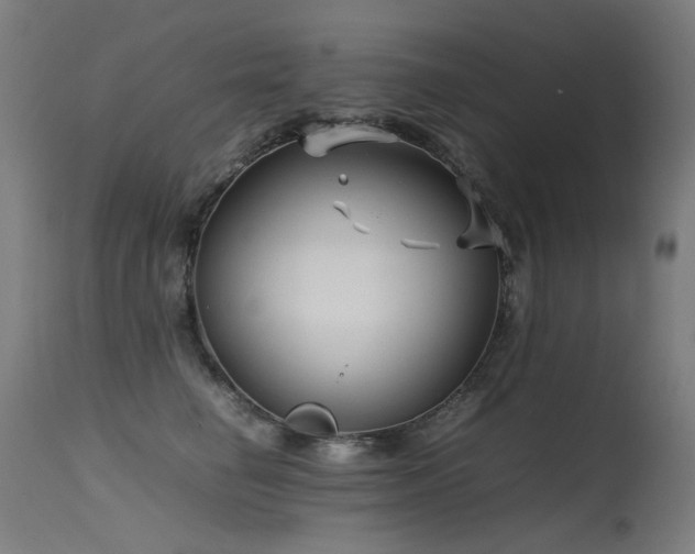 X0000115640662200911101517