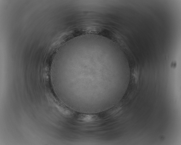 X0000115640663200911101518