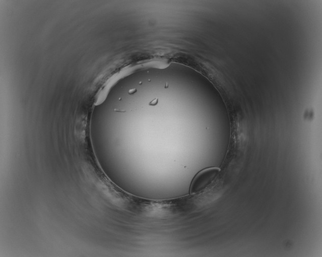 X0000115640664200911101518