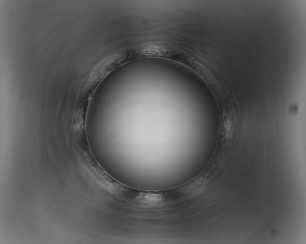 X0000115640665200911101518