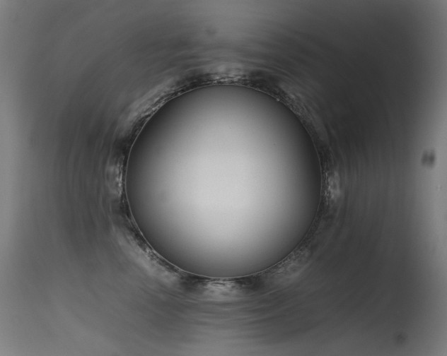 X0000115640666200911101518