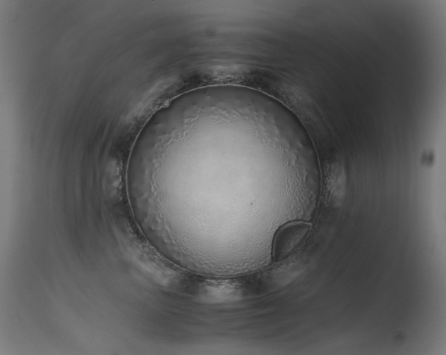 X0000115640667200911101518