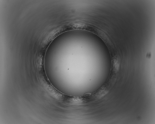 X0000115640668200911101518