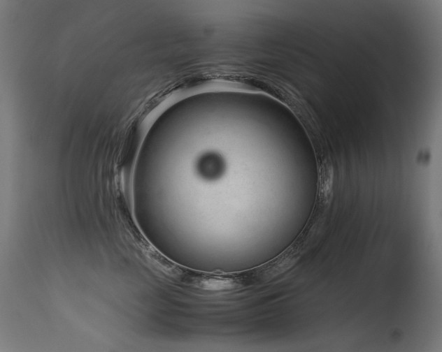 X0000115640669200911101518