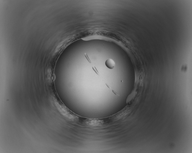 X0000115640670200911101518
