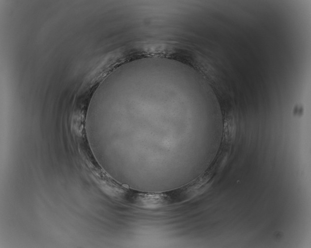 X0000115640671200911101518