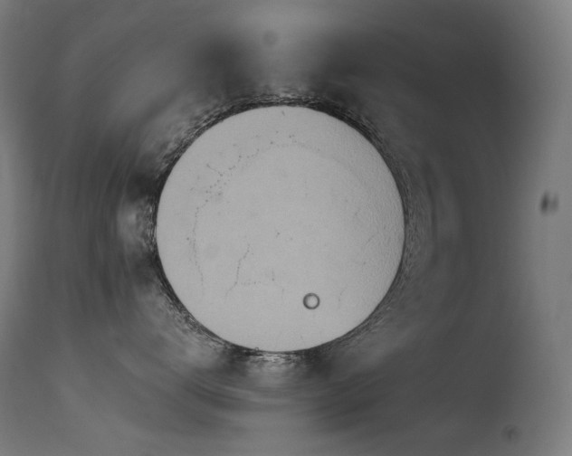 X0000115640672200911101518