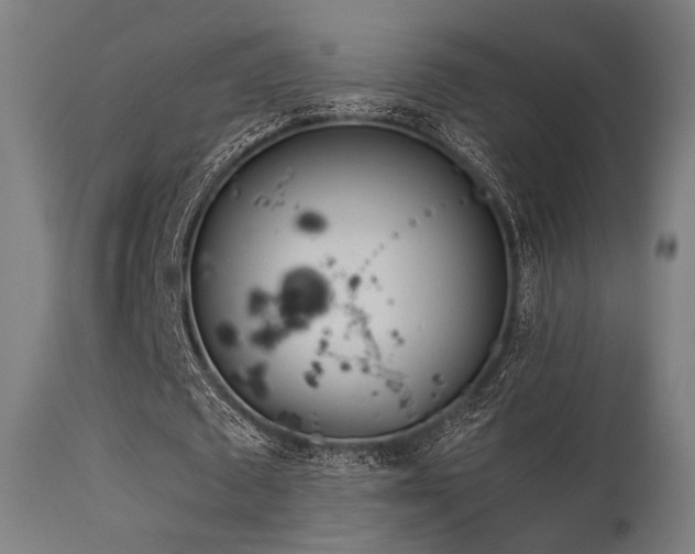 X0000115640673200911101517