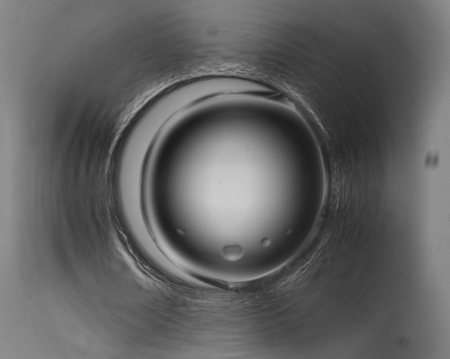 X0000115640674200911101517
