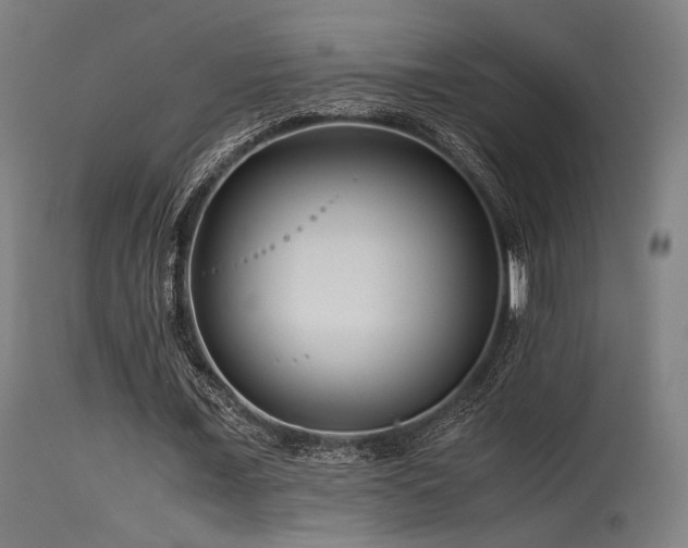 X0000115640675200911101517