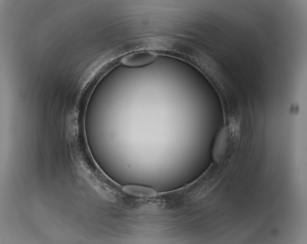 X0000115640676200911101517