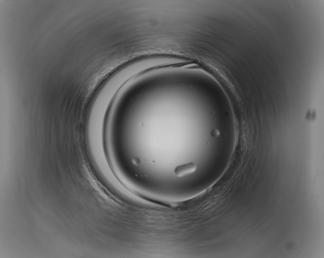 X0000115640677200911101517