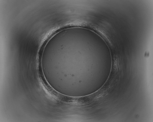 X0000115640678200911101517