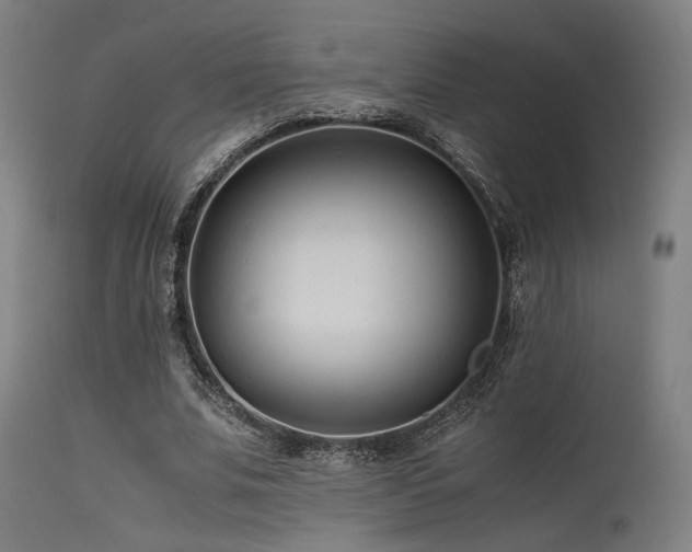 X0000115640679200911101517