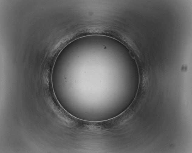 X0000115640681200911101517