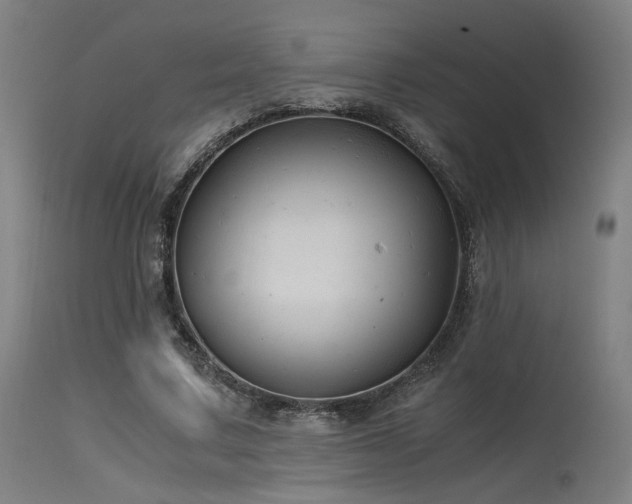 X0000115640683200911101517