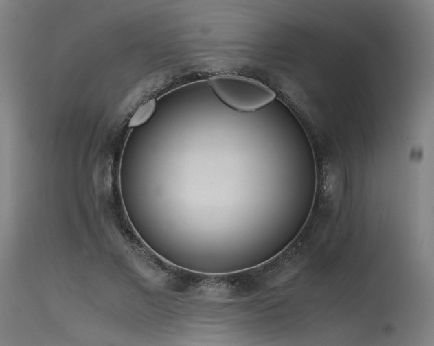 X0000115640685200911101517