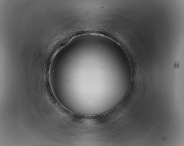 X0000115640689200911101517