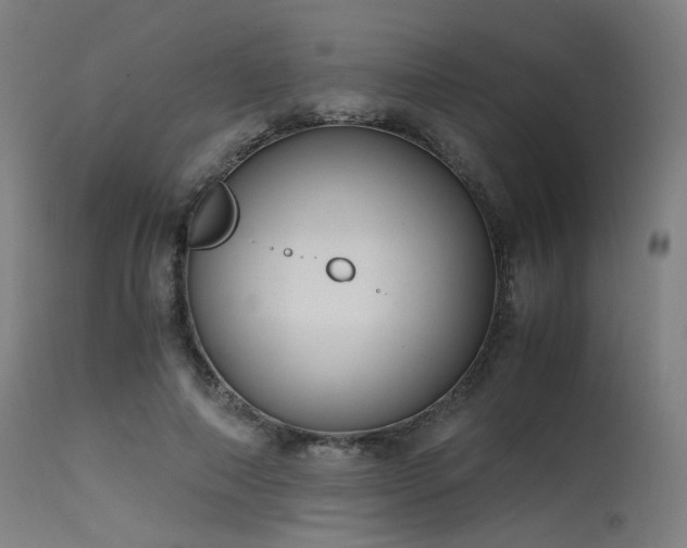 X0000115640690200911101517
