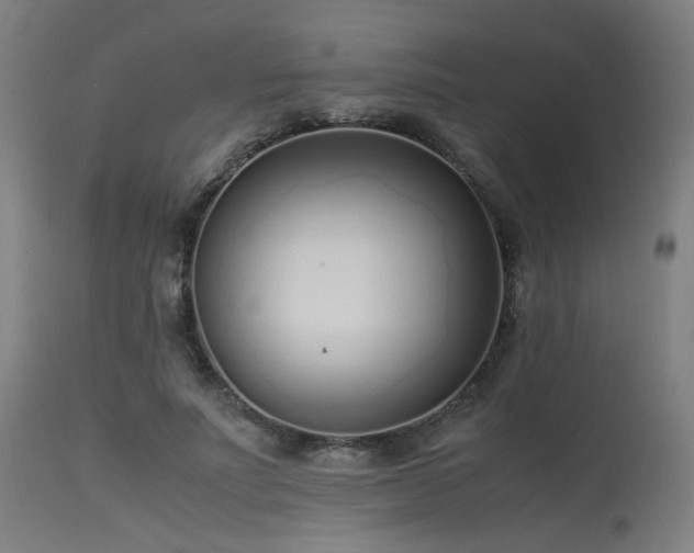 X0000115640691200911101517