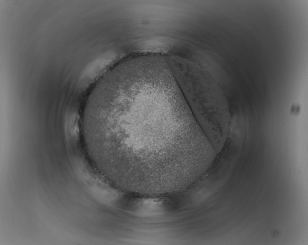 X0000115640692200911101517