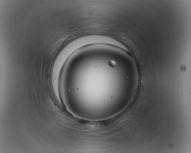 X0000115640693200911101517