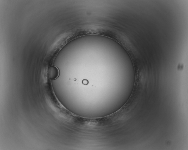 X0000115640694200911101517
