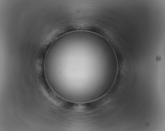 X0000115640695200911101517