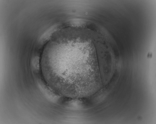 X0000115640696200911101517