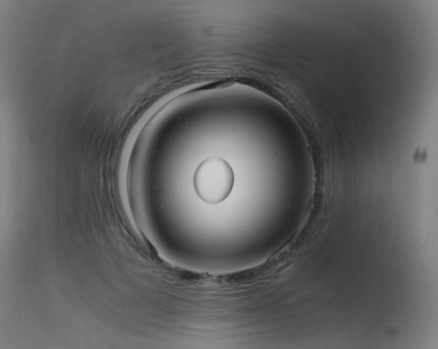 X0000115640697200911101517
