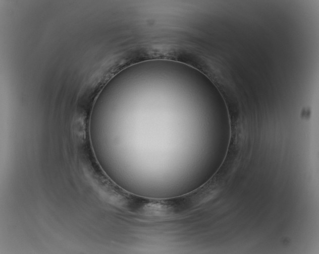 X0000115640699200911101517