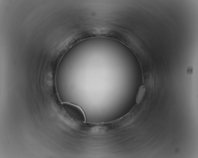 X0000115640700200911101517