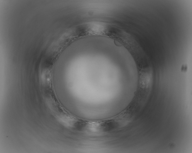 X0000115640701200911101517