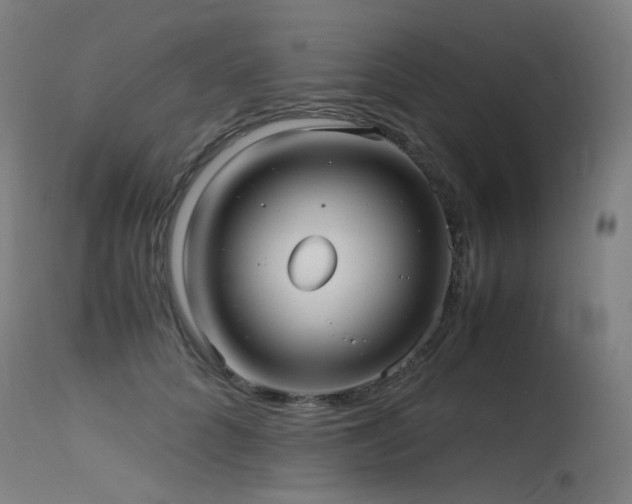 X0000115640704200911101517