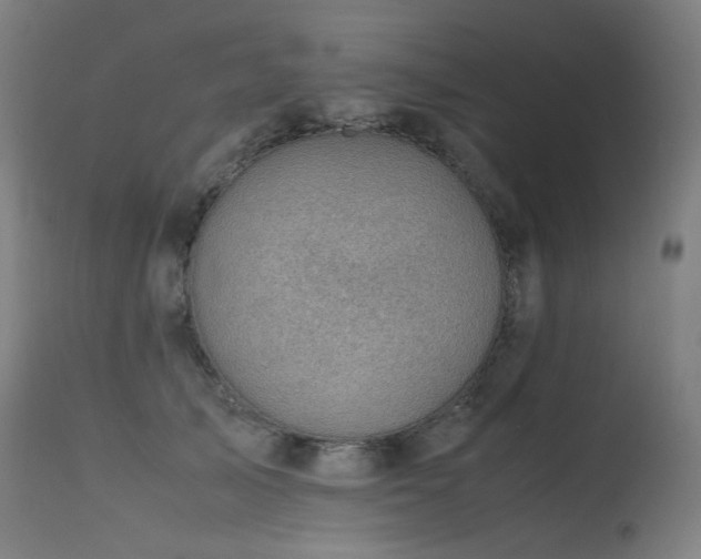 X0000115640705200911101517