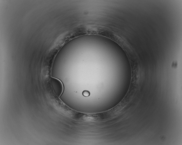 X0000115640706200911101517