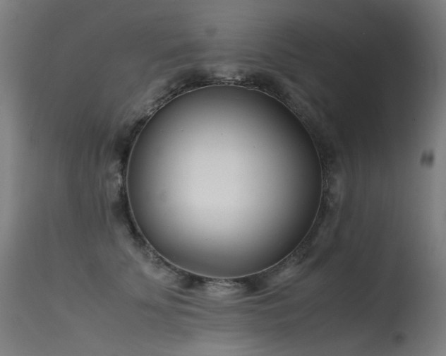 X0000115640707200911101516