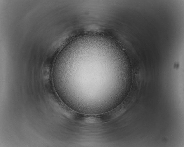 X0000115640708200911101516