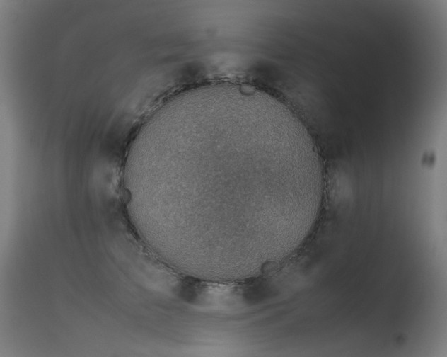 X0000115640709200911101516