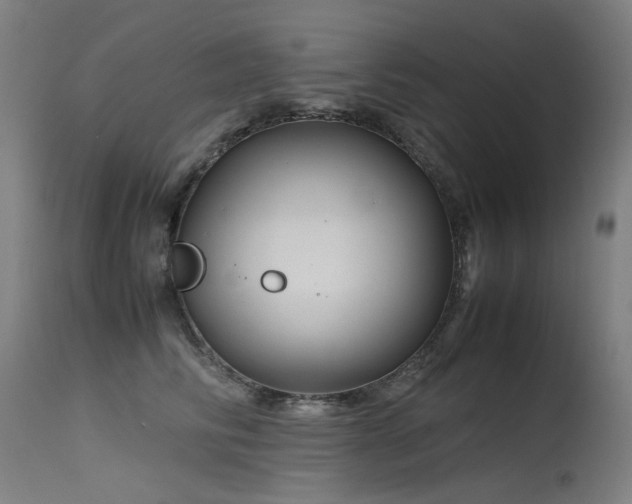 X0000115640710200911101516