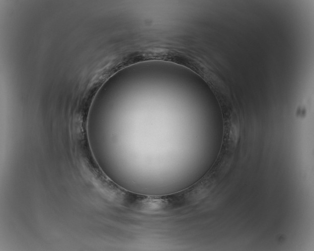 X0000115640711200911101516